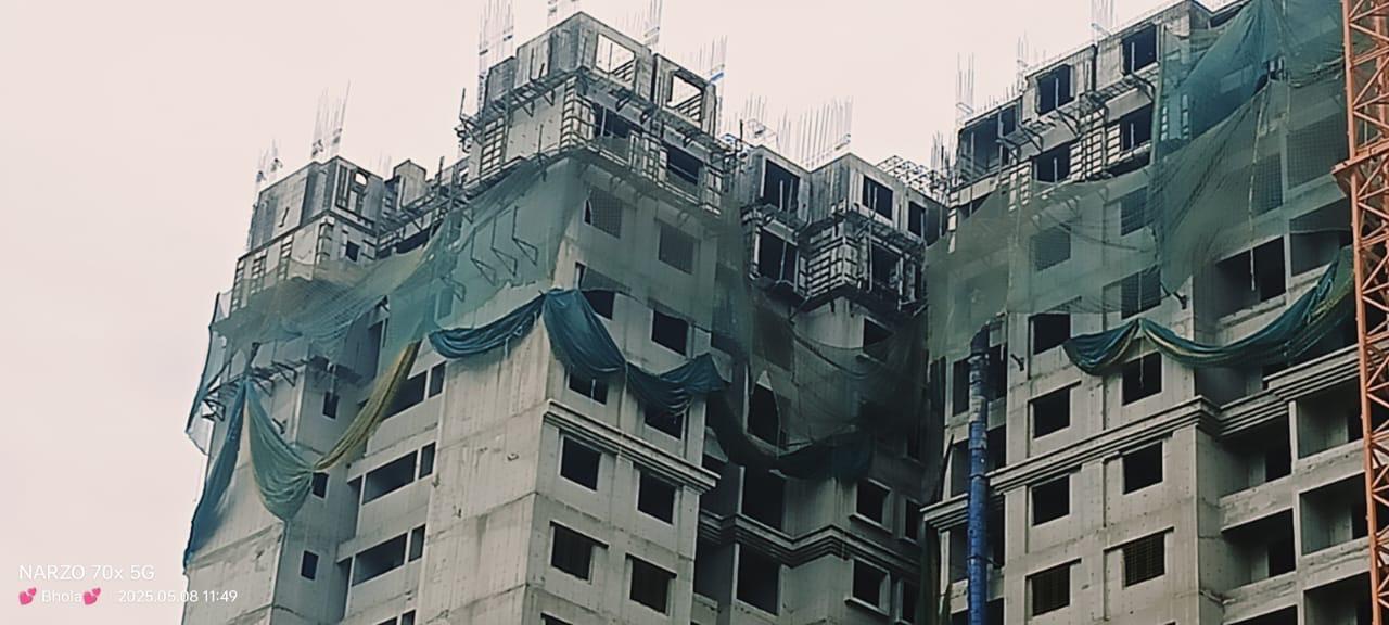 Rental Material Project 5